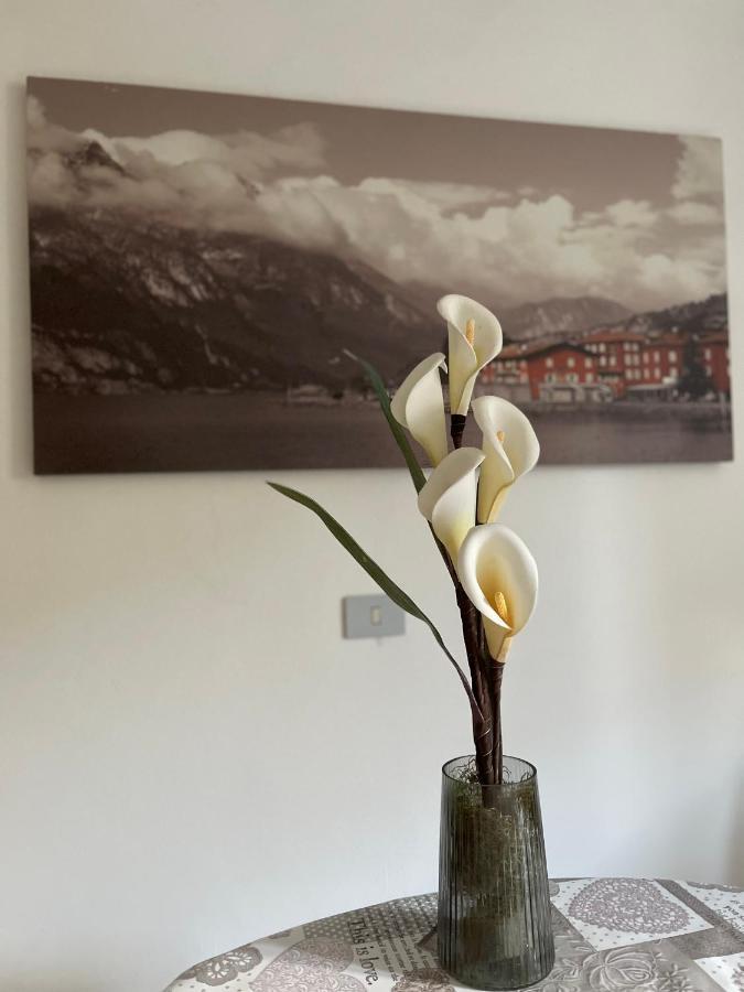 Apartment Le Calle Holiday Apartments
